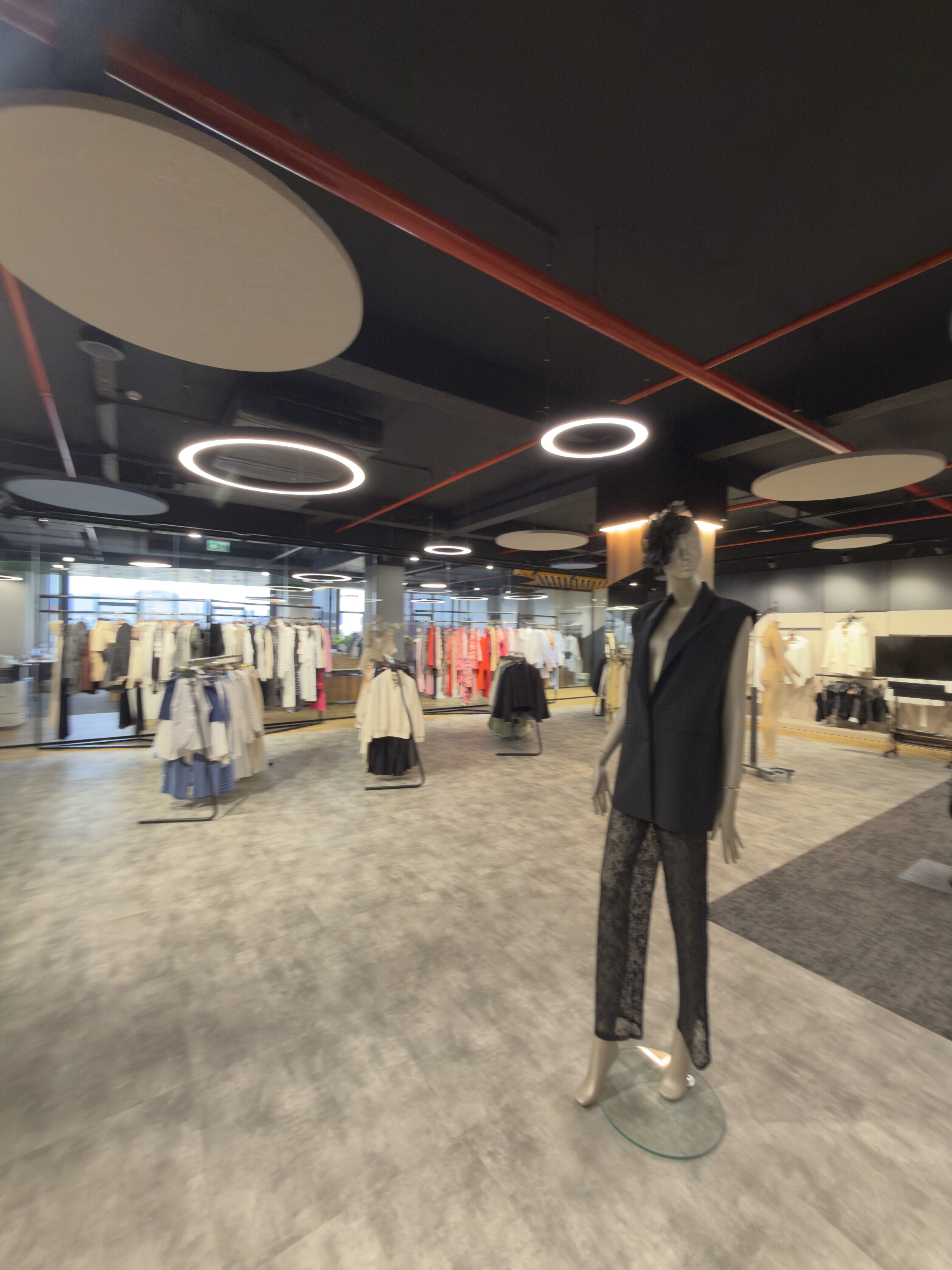 Collections arranged under circular lights in the showroom